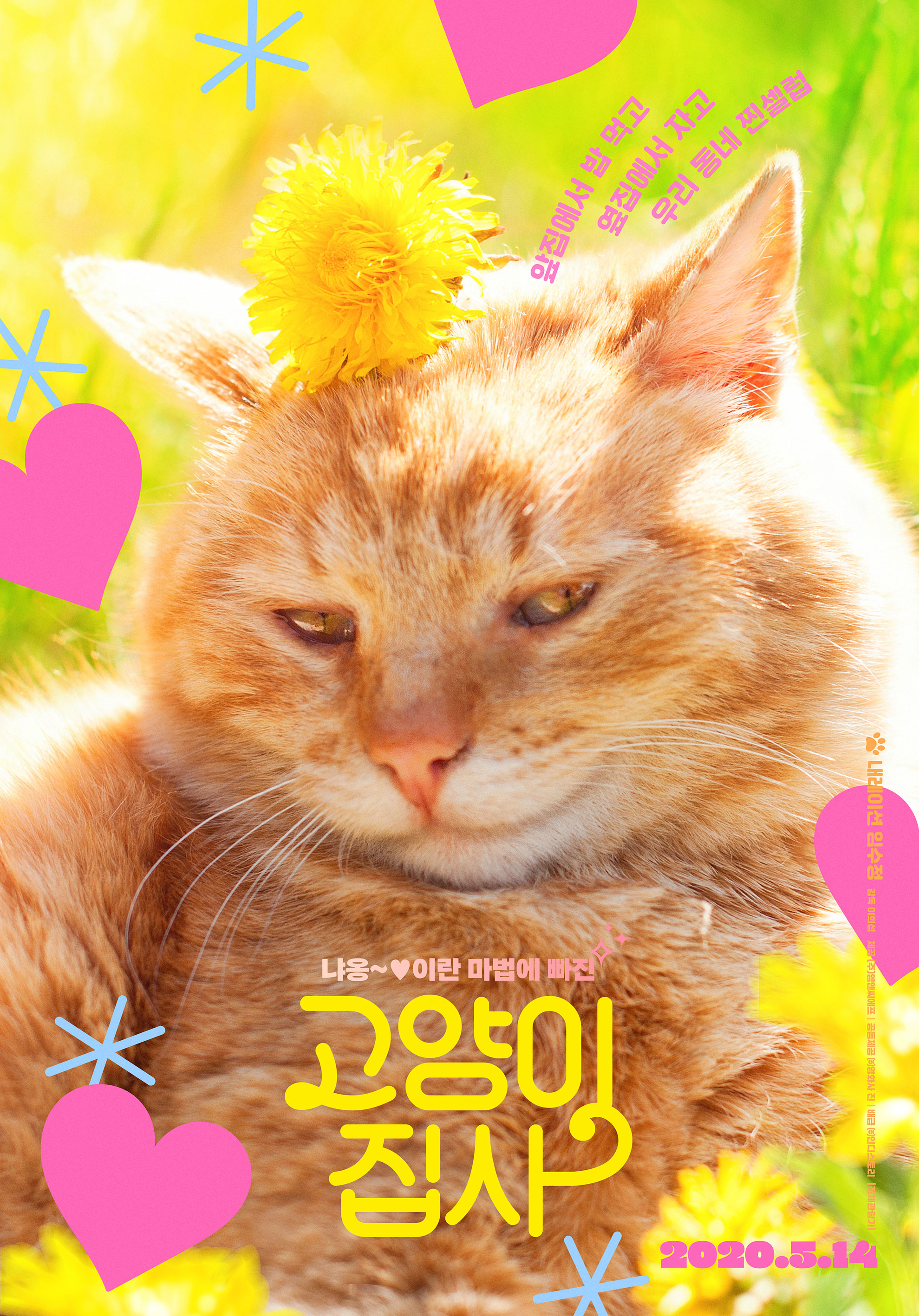 [대화가 있는 영화] 고양이 집사 포스터