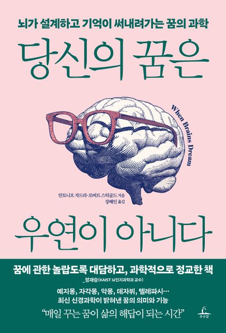 당신의 꿈은 우연이 아니다 : 뇌가 설계하고 기억이 써내려가는 꿈의 과학 표지