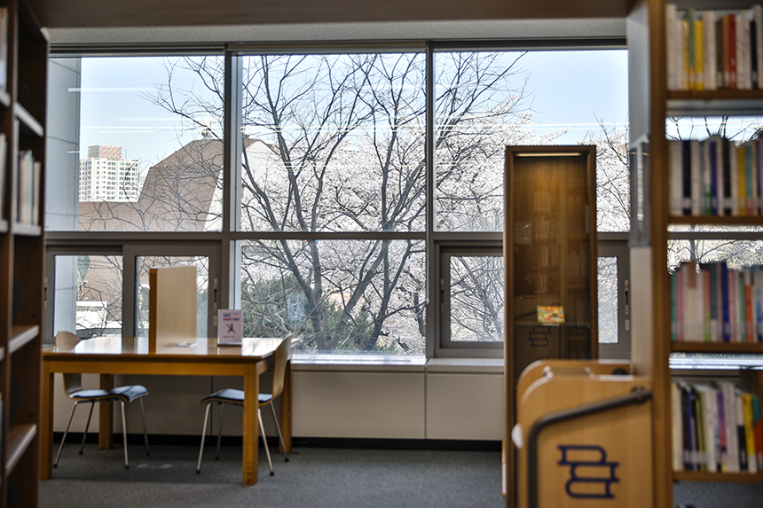 국립중앙도서관 2층 문학실 창문 밖으로 보이는 벚꽃.