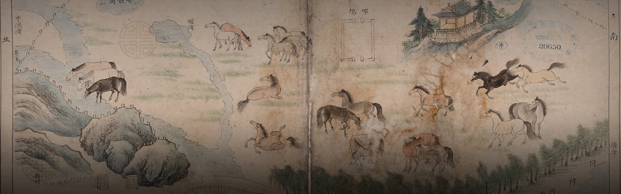 Have sex with a horse in Seoul